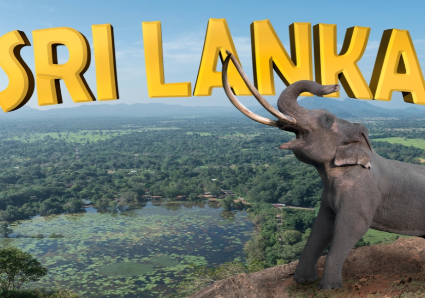 Magical Journey To Sri Lanka