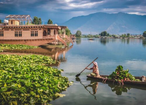 Fabulous Srinagar (Kashmir)