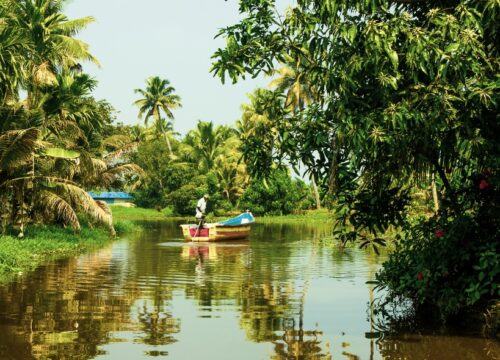 Relaxing Kerala ( Premium)