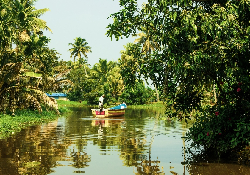 Relaxing Kerala ( Premium)