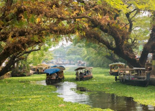 Verdant Kerala ( Deluxe)