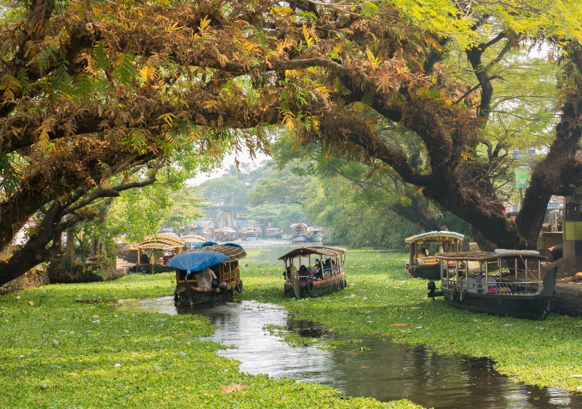 Verdant Kerala ( Deluxe)